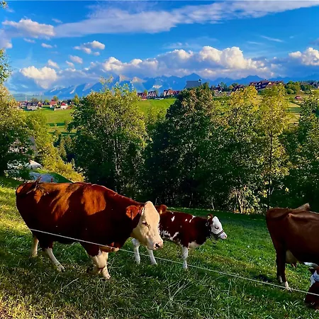 Dom Na Rusinskim 11 Rodzinny Zakatek W Gorach Bukowina Tatrzańska